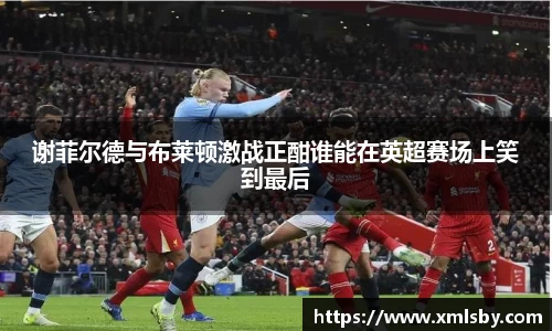 谢菲尔德与布莱顿激战正酣谁能在英超赛场上笑到最后