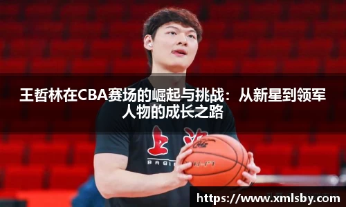 王哲林在CBA赛场的崛起与挑战：从新星到领军人物的成长之路