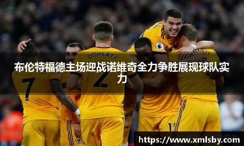 布伦特福德主场迎战诺维奇全力争胜展现球队实力