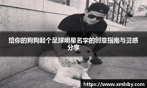 给你的狗狗起个足球明星名字的创意指南与灵感分享