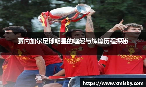 赛内加尔足球明星的崛起与辉煌历程探秘